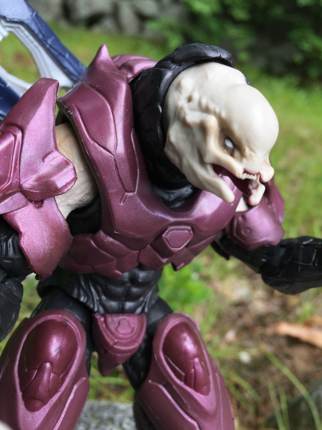 Close-Up of Unhelmeted Elite Officer Action Figure